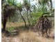 329d Goode Road, Humpty Doo NT 0836