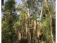 329d Goode Road, Humpty Doo NT 0836