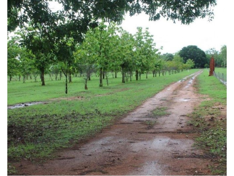 lot 2906 Litchfield Park Road, Batchelor NT 0845