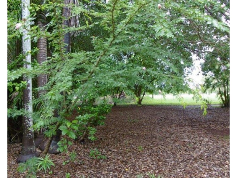 lot 2906 Litchfield Park Road, Batchelor NT 0845