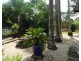Lot 2719 Leonino Road, Darwin River NT 0841