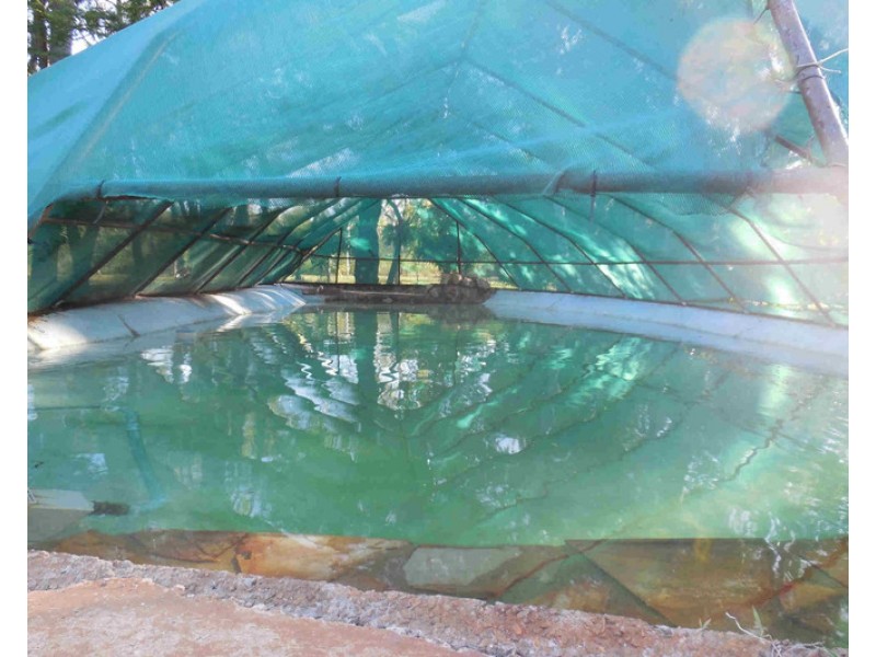 lot 1 Reedbeds Road, Darwin River NT 0841