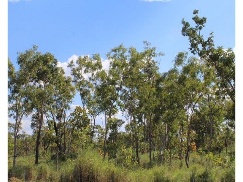 Lot 1471,  Banyan Road, Batchelor NT 0845