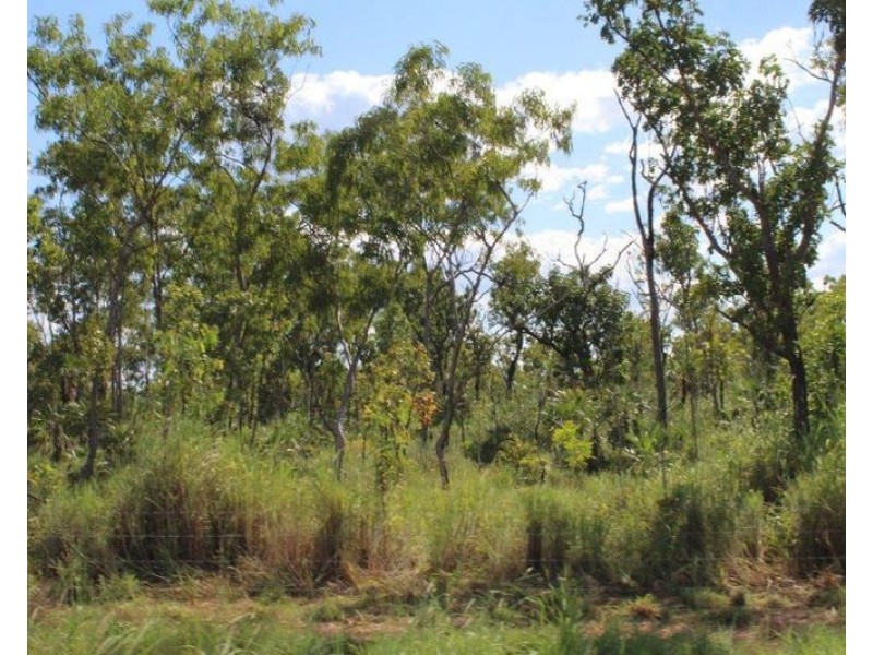 Lot 1471,  Banyan Road, Batchelor NT 0845