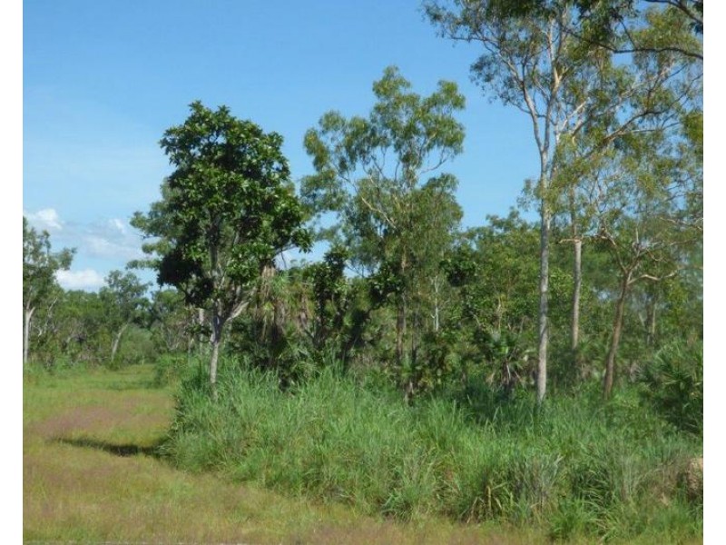 Lot 1458,  Banyan Road, Batchelor NT 0845