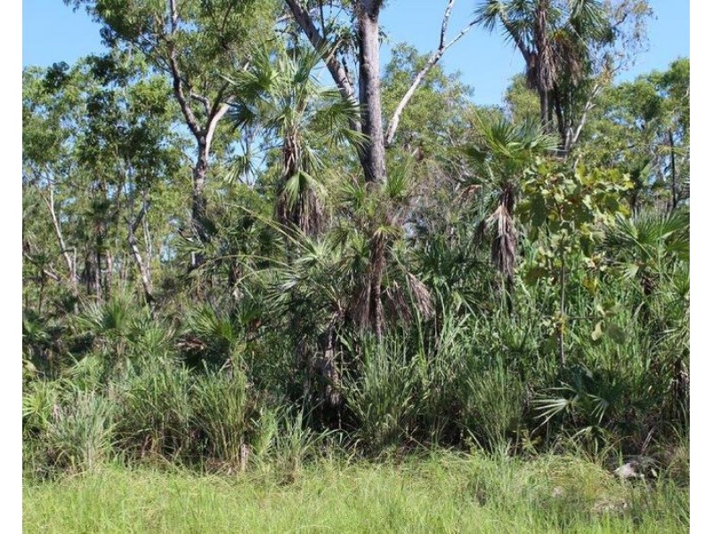 Lot 1459,  Banyan Road, Batchelor NT 0845