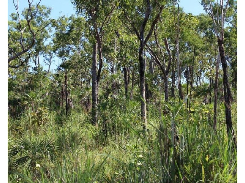 Lot 1459,  Banyan Road, Batchelor NT 0845