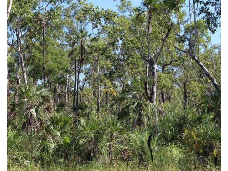 Lot 1459,  Banyan Road, Batchelor NT 0845