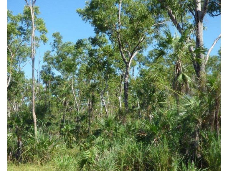 Lot 1459,  Banyan Road, Batchelor NT 0845