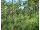 Lot 1459,  Banyan Road, Batchelor NT 0845