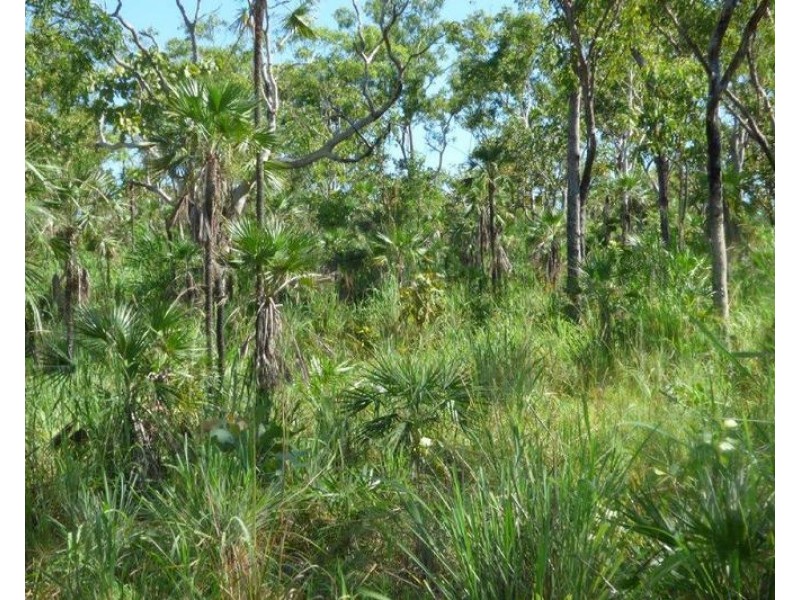 Lot 1459,  Banyan Road, Batchelor NT 0845