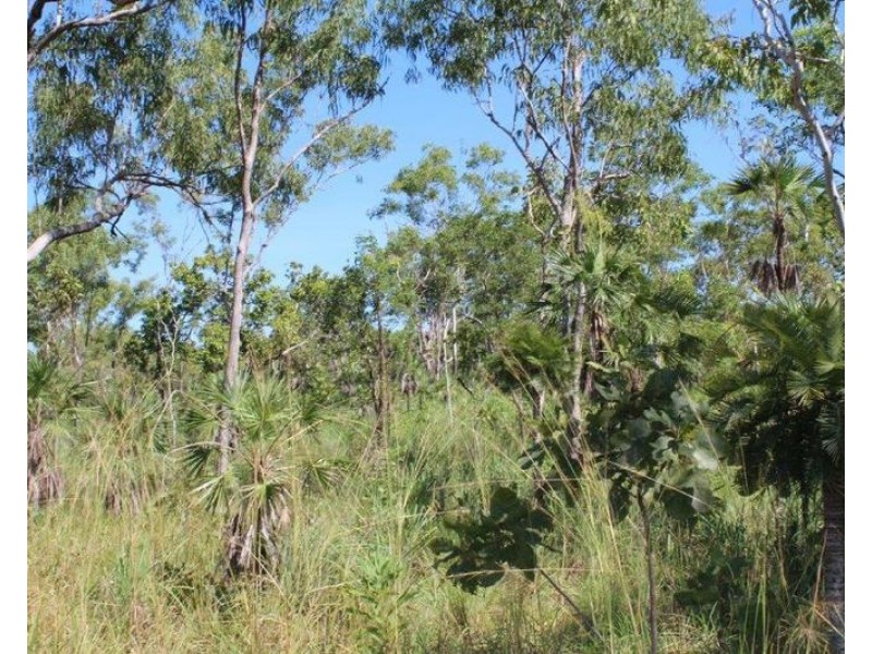Lot 1459,  Banyan Road, Batchelor NT 0845