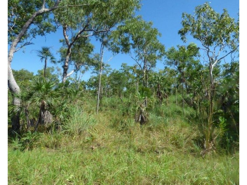 Lot 1459,  Banyan Road, Batchelor NT 0845