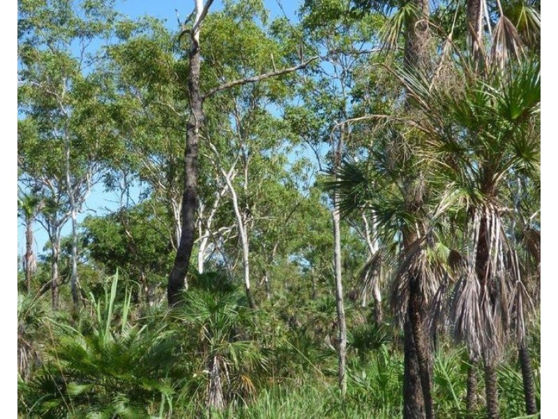 Lot 1460, Banyan Road, Batchelor NT 0845