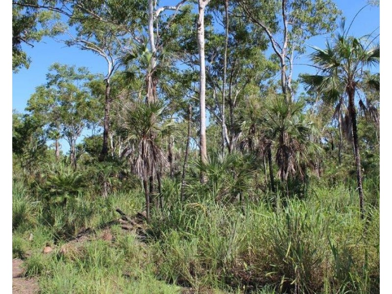Lot 1460, Banyan Road, Batchelor NT 0845