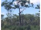 Lot 1469, Miles Road, Batchelor NT 0845
