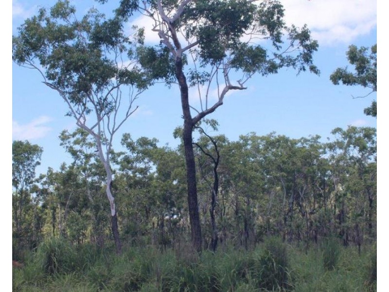 Lot 1469, Miles Road, Batchelor NT 0845