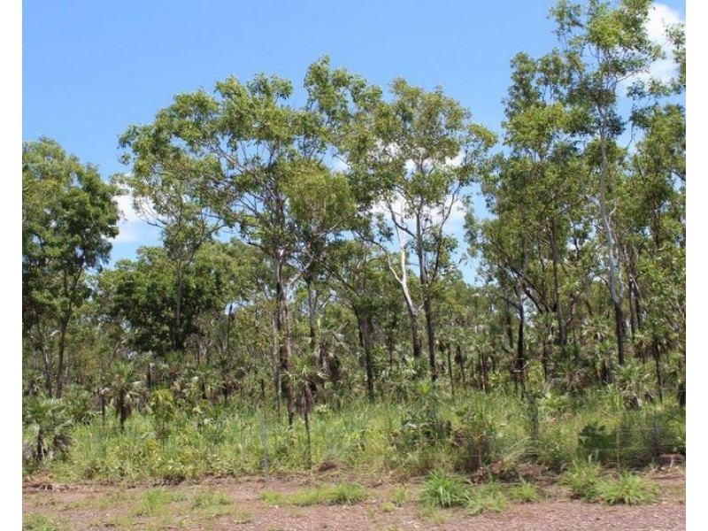 Lot 1469, Miles Road, Batchelor NT 0845