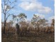15 Coda Road, Dundee Forest NT 0840