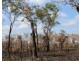 15 Coda Road, Dundee Forest NT 0840