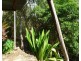 15 Talc Head Road, Cox Peninsula NT 0822