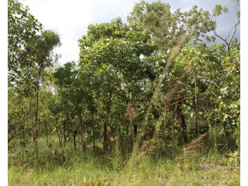 Lot 50, Mira Road, Tumbling Waters NT 0837