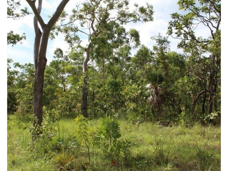 Lot 50, Mira Road, Tumbling Waters NT 0837