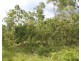 Lot 50, Mira Road, Tumbling Waters NT 0837