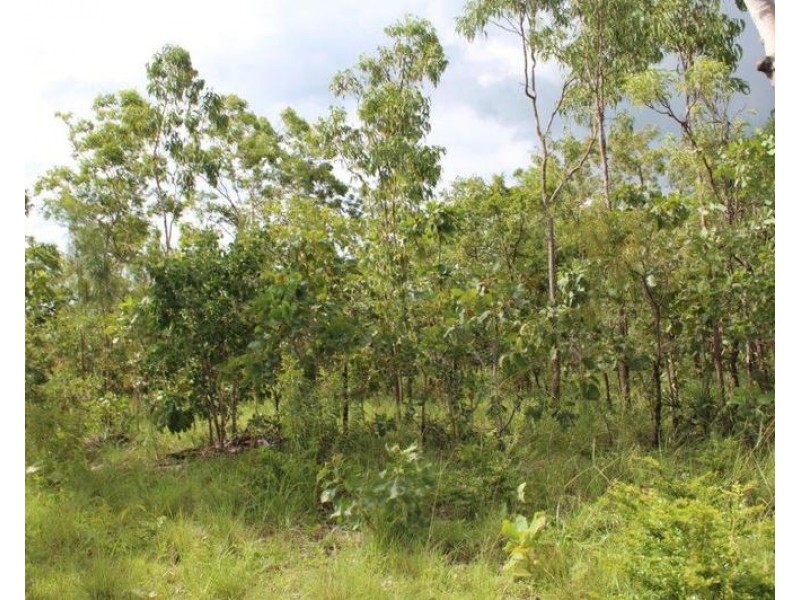 Lot 50, Mira Road, Tumbling Waters NT 0837