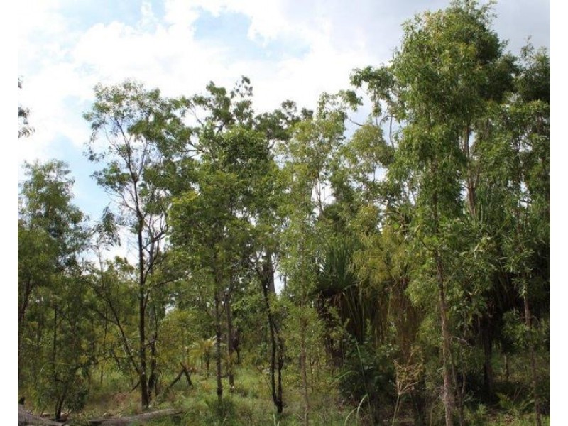 Lot 50, Mira Road, Tumbling Waters NT 0837
