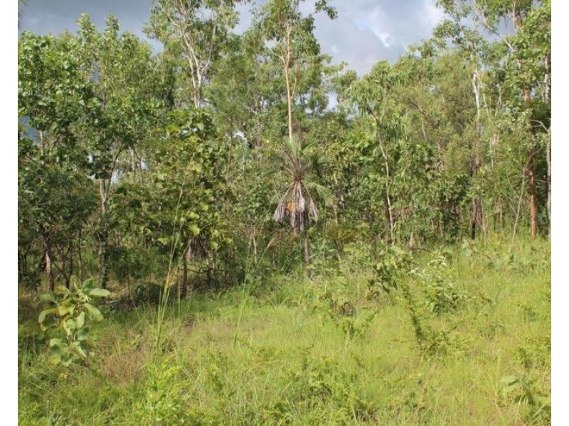 Lot 50, Mira Road, Tumbling Waters NT 0837
