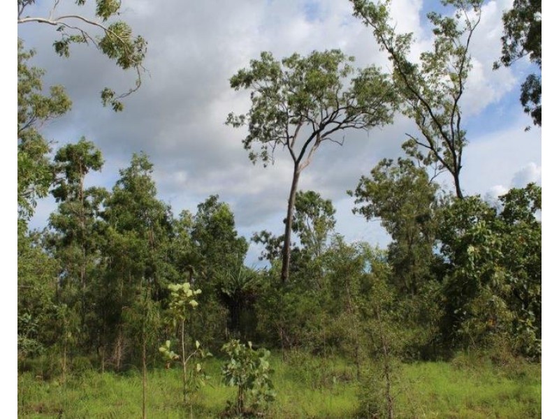 Lot 50, Mira Road, Tumbling Waters NT 0837