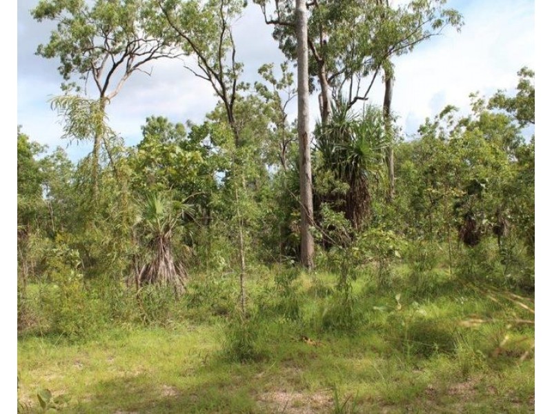 Lot 50, Mira Road, Tumbling Waters NT 0837