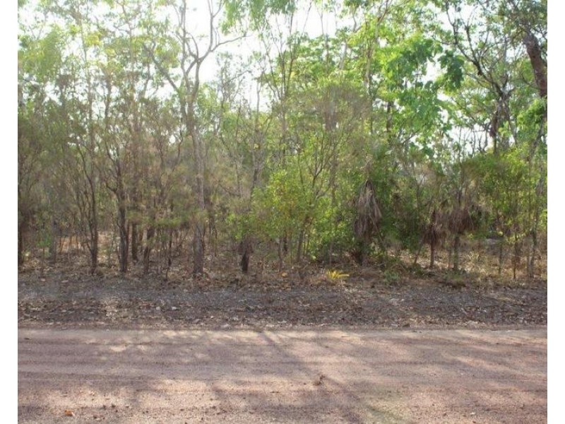 Lot Lot 139, 21 Aldridge Street, Southport NT 0822