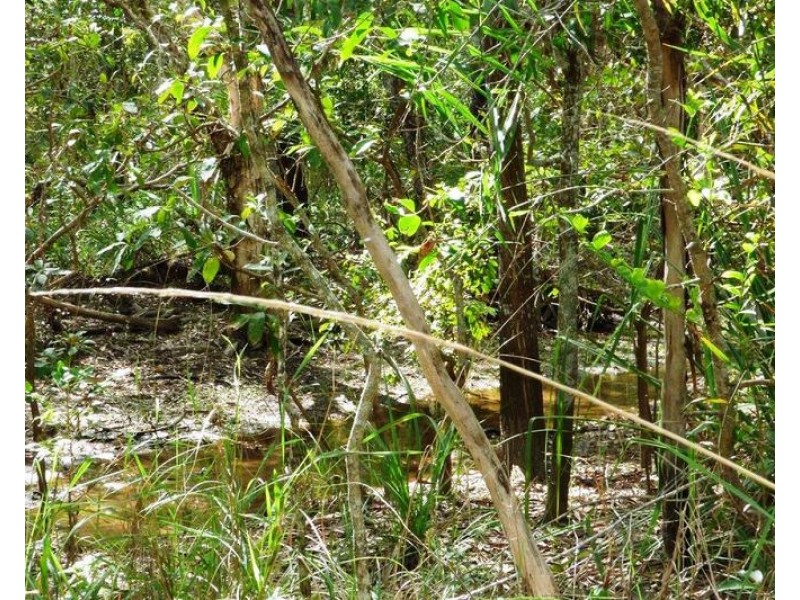 Lot 35, Weaver Road, Noonamah NT 0837