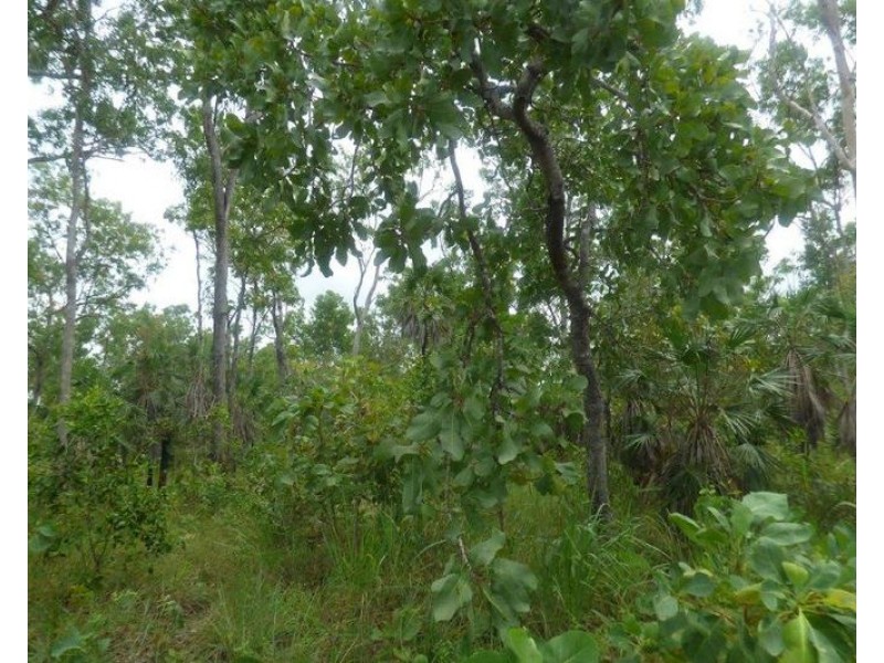 LOT 3435 Levuka Road, Dundee Beach NT 0840