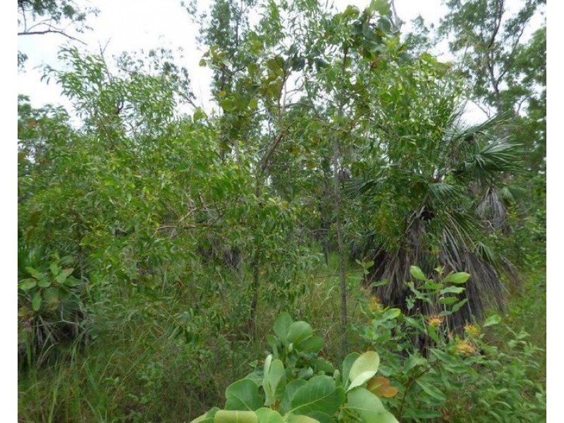 LOT 3435 Levuka Road, Dundee Beach NT 0840