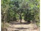 64 Andreas Avenue, Dundee Beach NT 0840