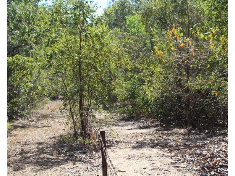 64 Andreas Avenue, Dundee Beach NT 0840