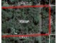 64 Andreas Avenue, Dundee Beach NT 0840