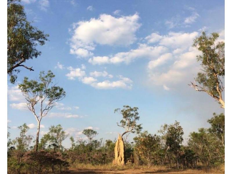 295 Brougham Road, Darwin River NT 0841