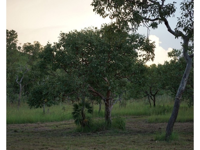 203 Dorat Road, Adelaide River NT 0846