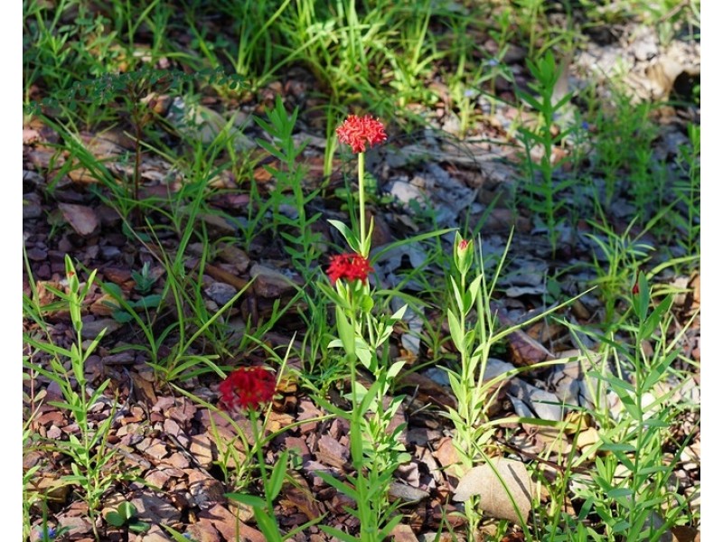 203 Dorat Road, Adelaide River NT 0846