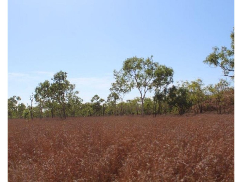 203 Dorat Road, Adelaide River NT 0846