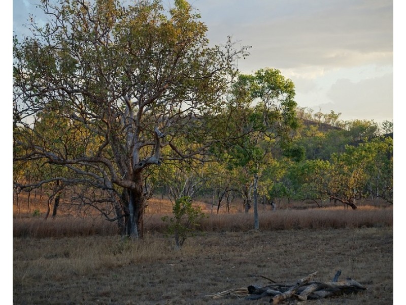 203 Dorat Road, Adelaide River NT 0846