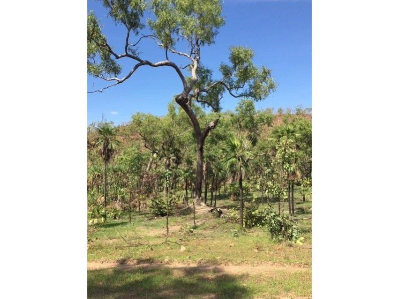 165 Wooliana Road, Daly River NT 0822