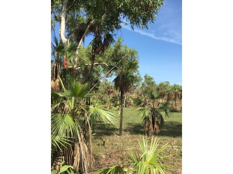 165 Wooliana Road, Daly River NT 0822