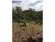 165 Wooliana Road, Daly River NT 0822
