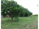 65 Stephen Road, Marrakai NT 0822