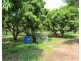 65 Stephen Road, Marrakai NT 0822